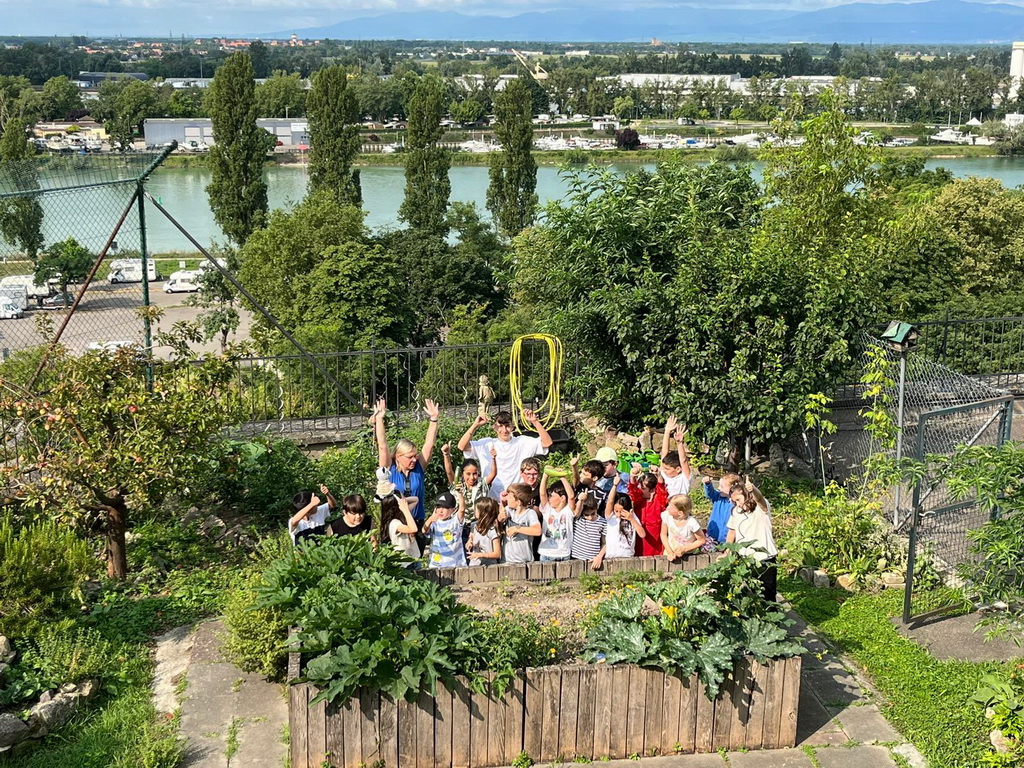 Schulgarten2 web